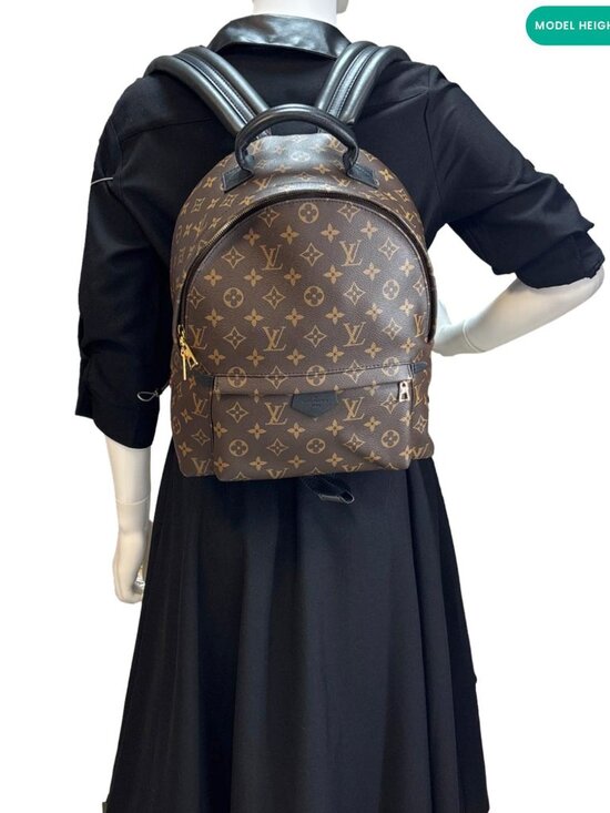 Louis Vuitton  Palm Springs MM Monogram Canvas Backpack Brown